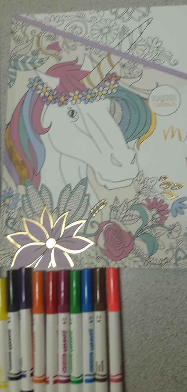 5/$25.00 Mystical Fairy Adult Coloring Books with Markers And Pencil Crayons